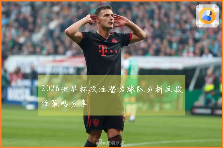 2026世界杯投注潜力球队分析及投注策略分享