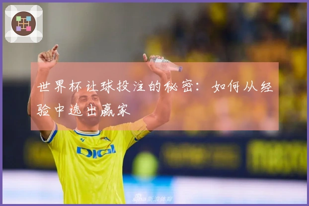 世界杯让球投注的秘密：如何从经验中选出赢家