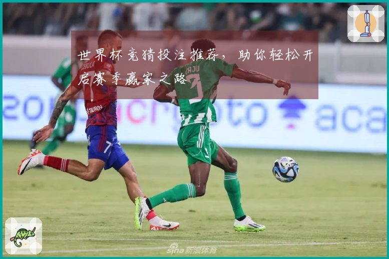世界杯竞猜投注推荐，助你轻松开启赛季赢家之路