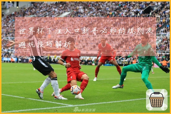 世界杯下注入口新手必知的规则及避坑技巧解析