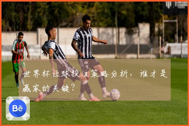 世界杯让球投注策略分析，谁才是赢家的关键？