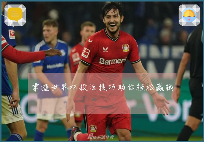 掌握世界杯投注技巧助你轻松赢钱