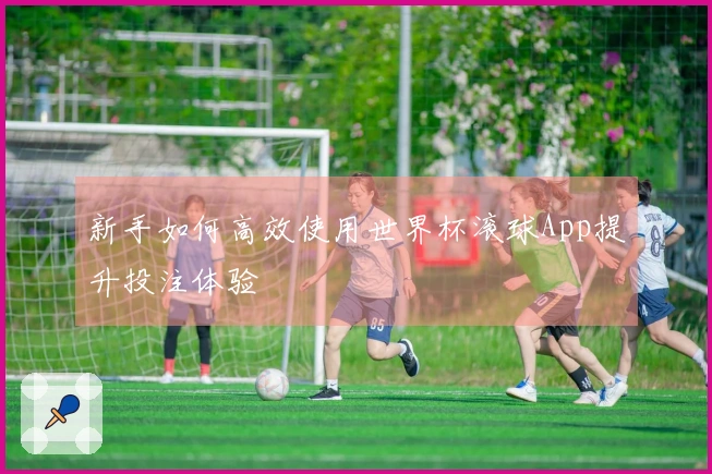 新手如何高效使用世界杯滚球App提升投注体验