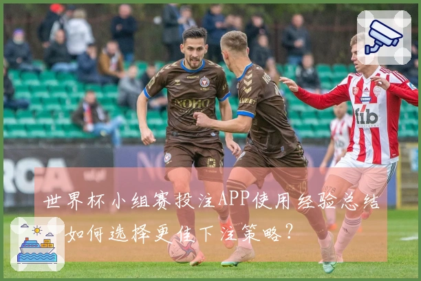 世界杯小组赛投注APP使用经验总结，如何选择更佳下注策略？