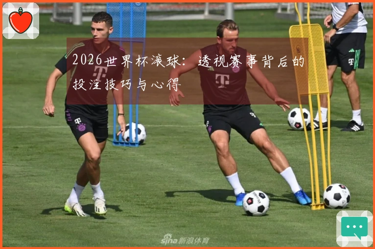 2026世界杯滚球：透视赛事背后的投注技巧与心得