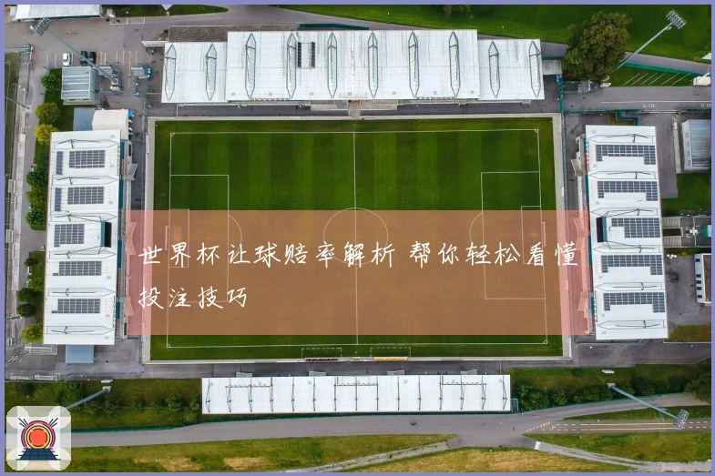 世界杯让球赔率解析 帮你轻松看懂投注技巧