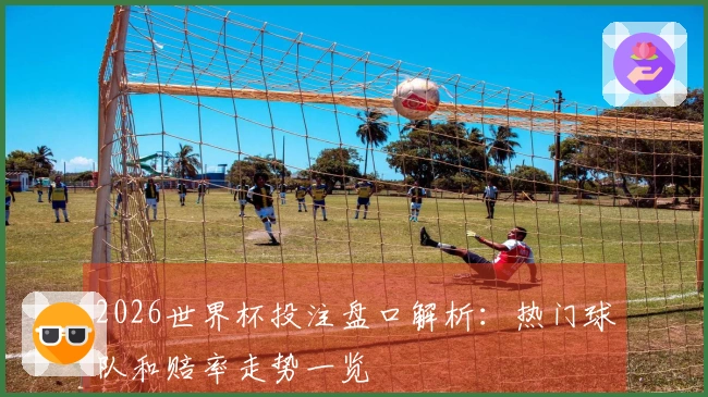 2026世界杯投注盘口解析：热门球队和赔率走势一览