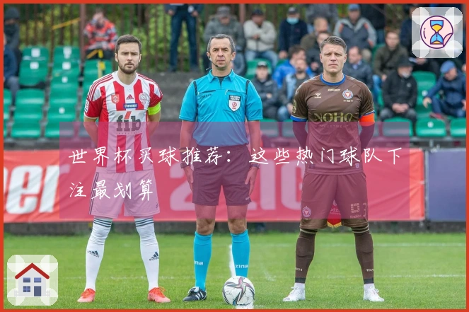 世界杯买球推荐：这些热门球队下注最划算