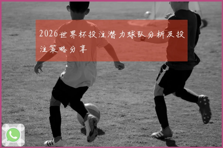 2026世界杯投注潜力球队分析及投注策略分享