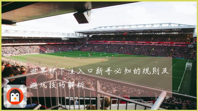 世界杯下注入口新手必知的规则及避坑技巧解析