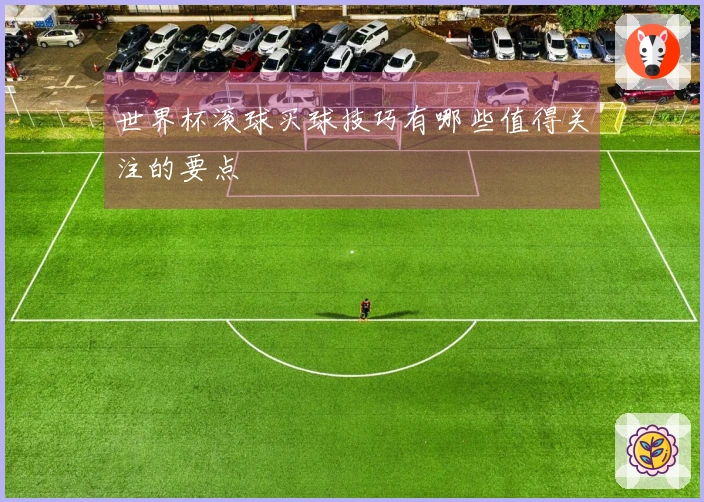 世界杯滚球买球技巧有哪些值得关注的要点
