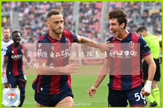 实战指南：如何选择靠谱的世界杯买球平台