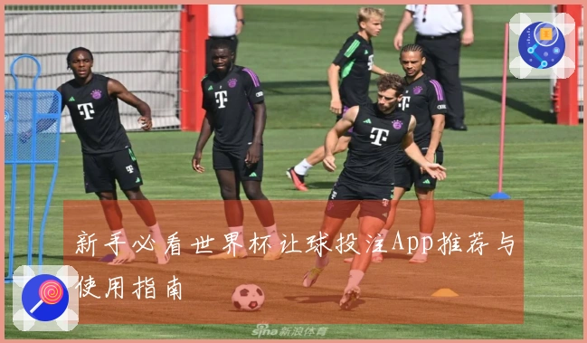 新手必看世界杯让球投注App推荐与使用指南