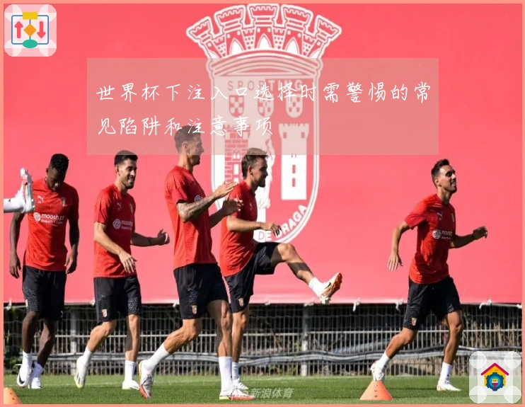 世界杯下注入口选择时需警惕的常见陷阱和注意事项