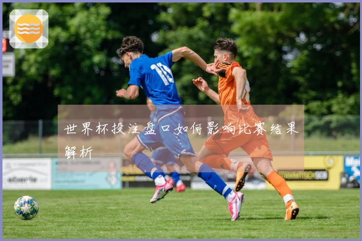 世界杯投注盘口如何影响比赛结果解析