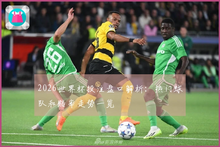 2026世界杯投注盘口解析：热门球队和赔率走势一览