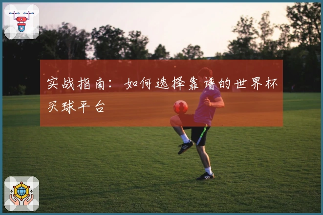 实战指南：如何选择靠谱的世界杯买球平台