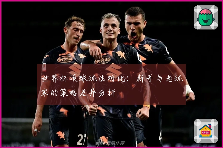 世界杯滚球玩法对比：新手与老玩家的策略差异分析