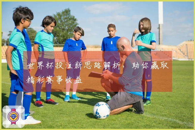 世界杯投注新思路解析，助你赢取精彩赛事收益